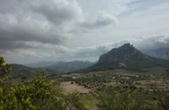 Horta-Picasso-SantaBarbara