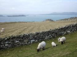 Inishbofin1