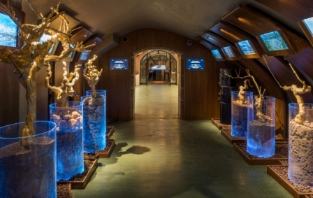 CAVES-DU-LOUVRE-SALLES_10