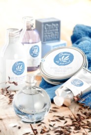 GrainePastel-Produits