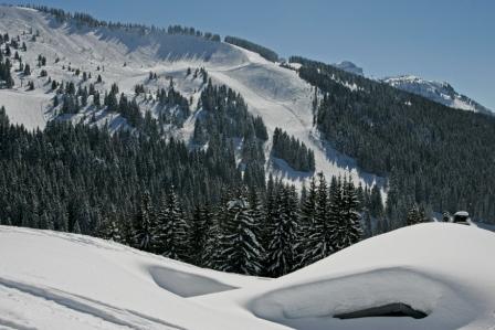 Combe de Gron 2 - Monica Dalmasso