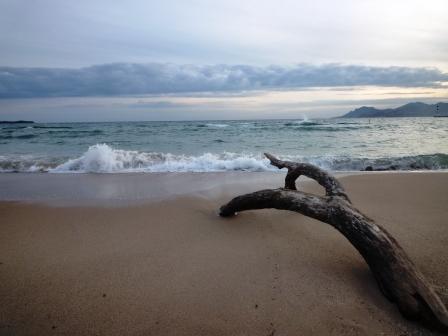 NatureMorte-Cannes_2016
