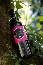 hotel-stj-vin-du-jardin-4-droits-du-jerome-mondiere